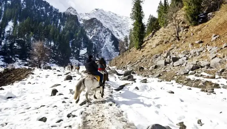 Newly Married Couple Enjoying Horse Riding